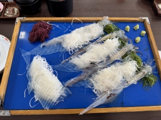 イカ3